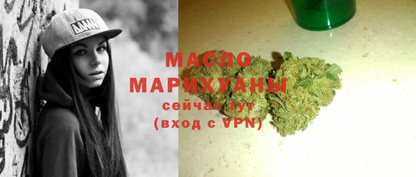 молекула духа Арсеньев