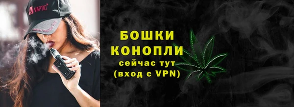 молекула духа Арсеньев