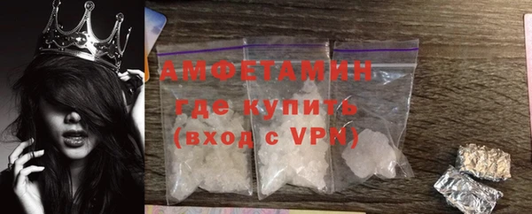 молекула духа Арсеньев