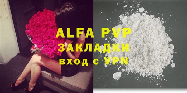 молекула духа Арсеньев