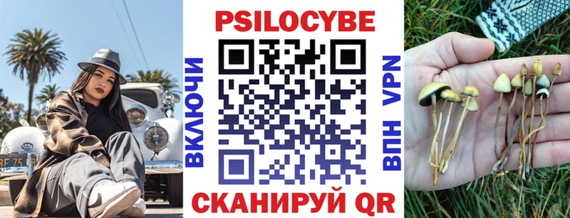 Галлюциногенные грибы Psilocybine cubensis  закладка  Баймак 